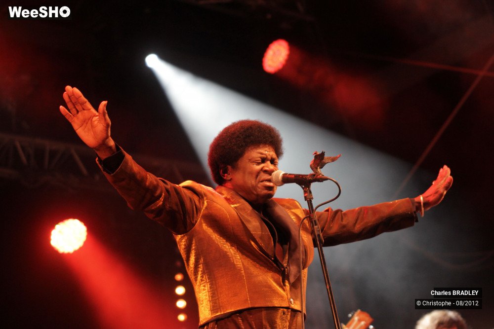 11/30 photos du spectacle Charles Bradley