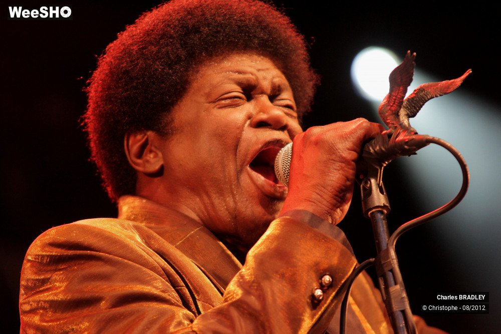 13/30 photos du spectacle Charles Bradley
