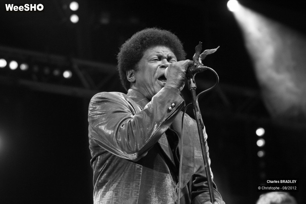 15/30 photos du spectacle Charles Bradley