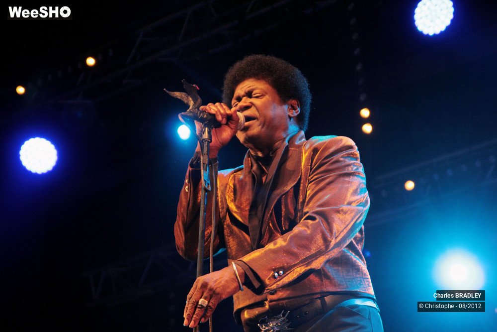 16/30 photos du spectacle Charles Bradley