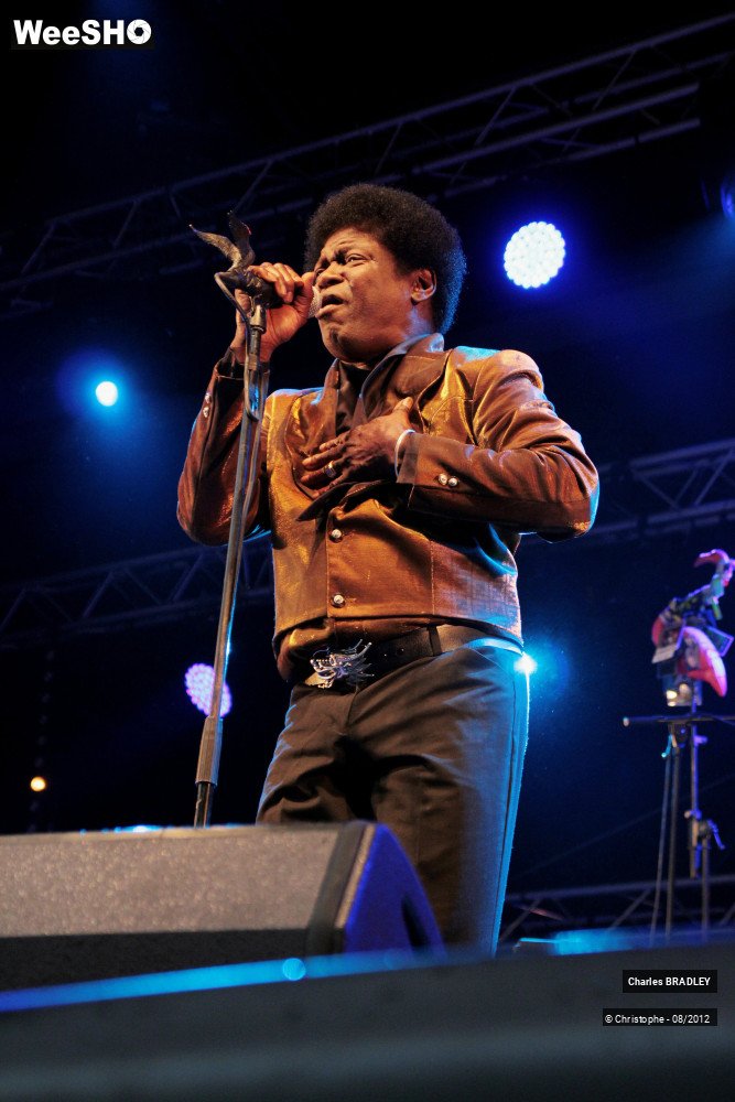 20/30 photos du spectacle Charles Bradley