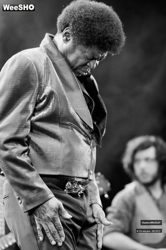 21/30 photos du spectacle Charles Bradley