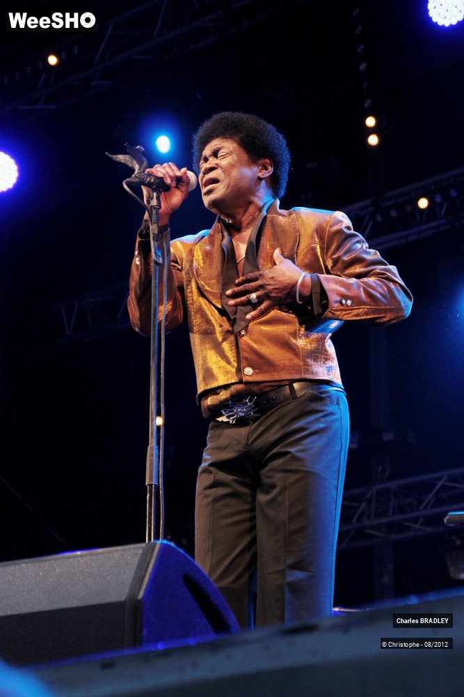 22/30 photos du spectacle Charles Bradley