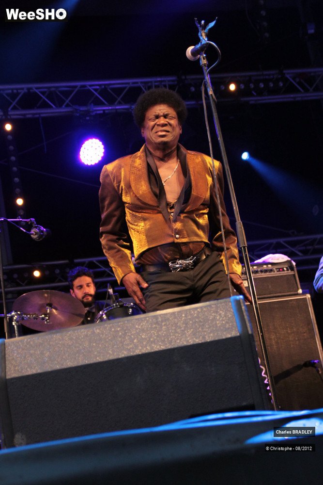 23/30 photos du spectacle Charles Bradley