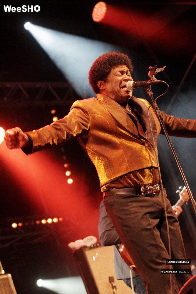 24/30 photos du spectacle Charles Bradley