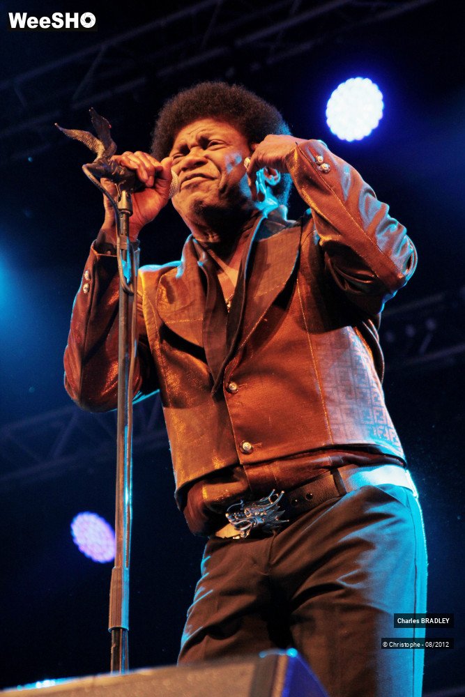 25/30 photos du spectacle Charles Bradley