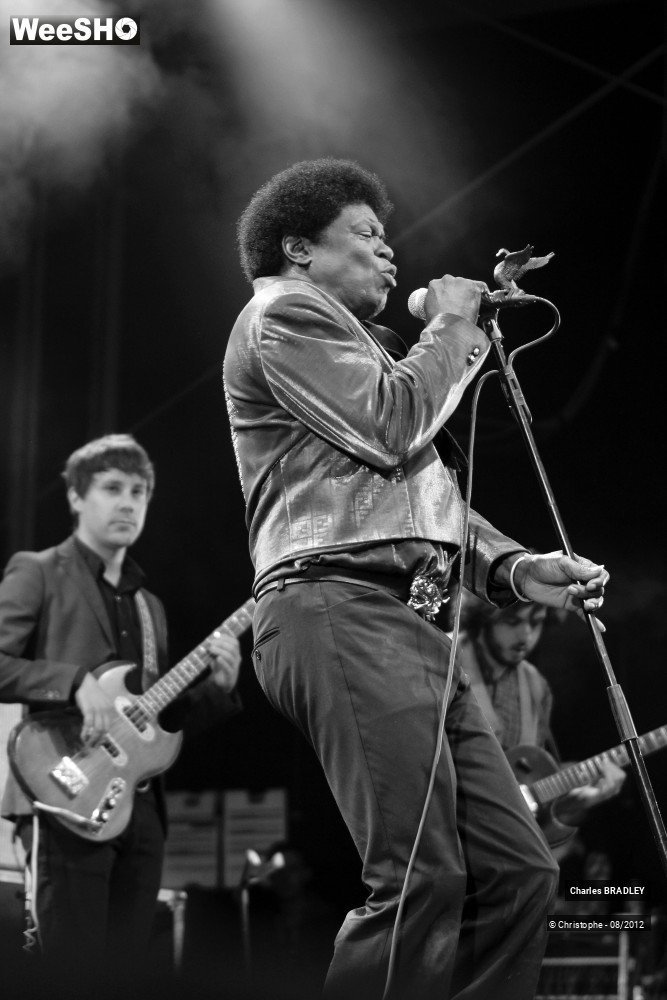 26/30 photos du spectacle Charles Bradley