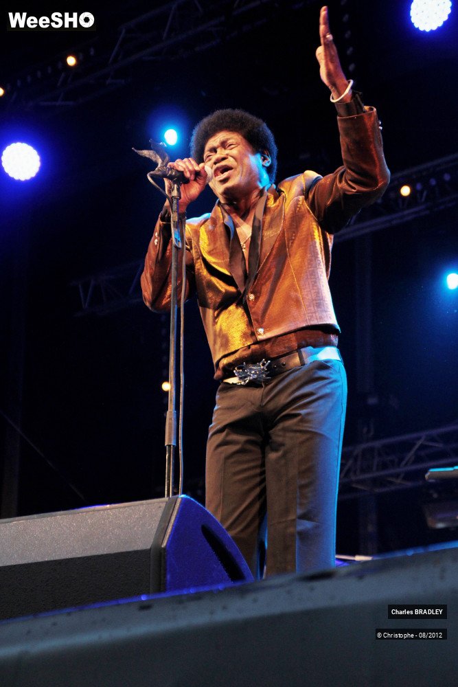 27/30 photos du spectacle Charles Bradley