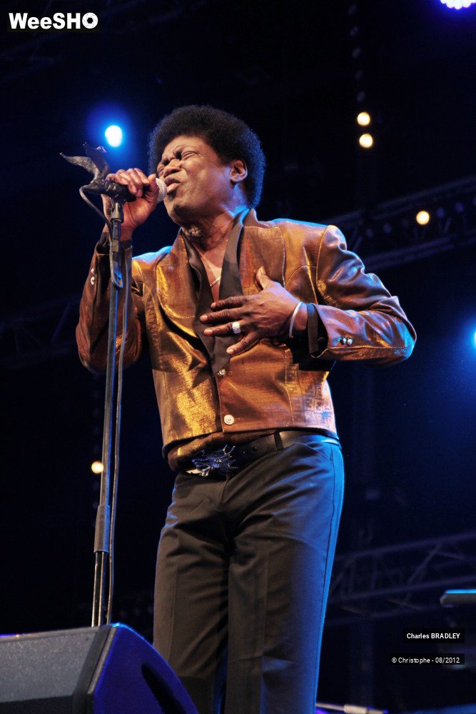 28/30 photos du spectacle Charles Bradley