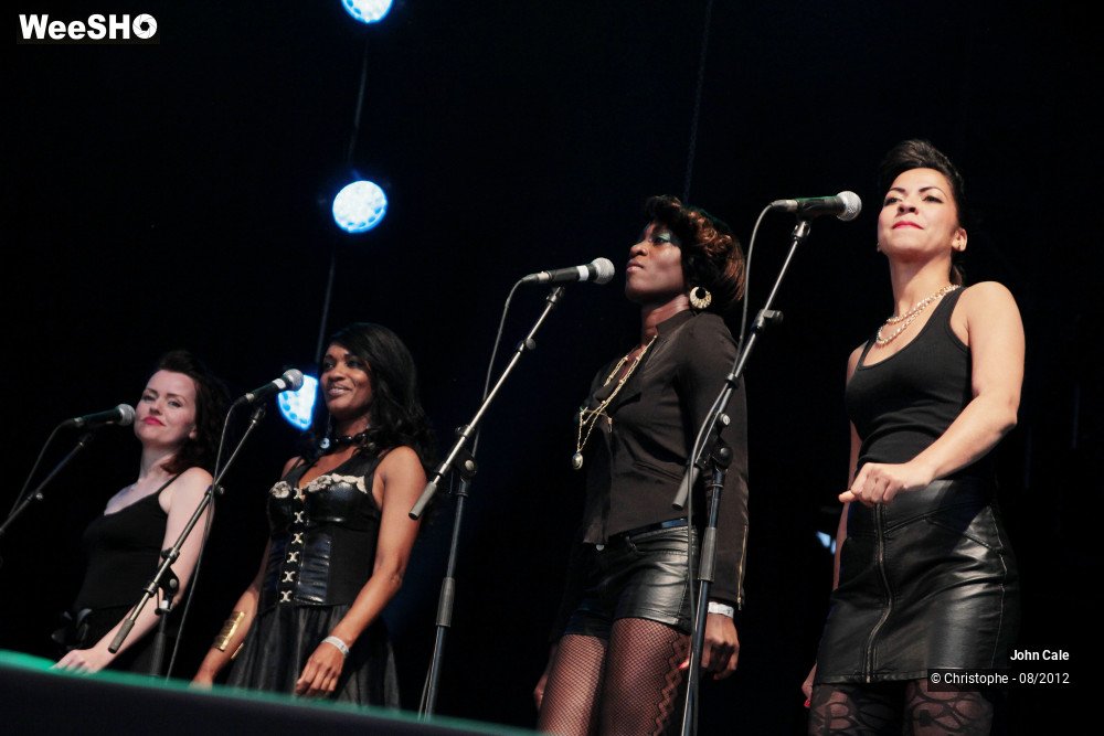 7/33 photos du spectacle John Cale & Band