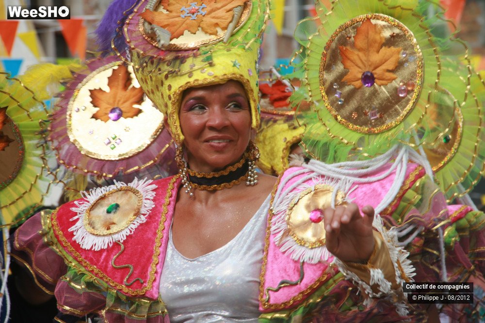 18/44 photos du spectacle Zomer Carnaval 2012 #1