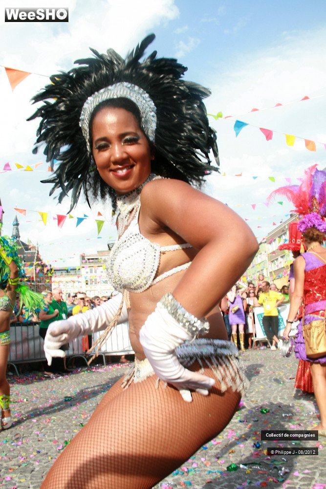 33/44 photos du spectacle Zomer Carnaval 2012 #1
