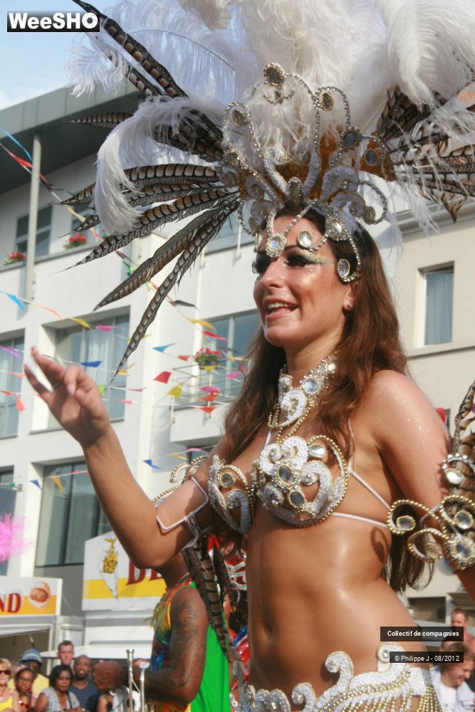 35/44 photos du spectacle Zomer Carnaval 2012 #1