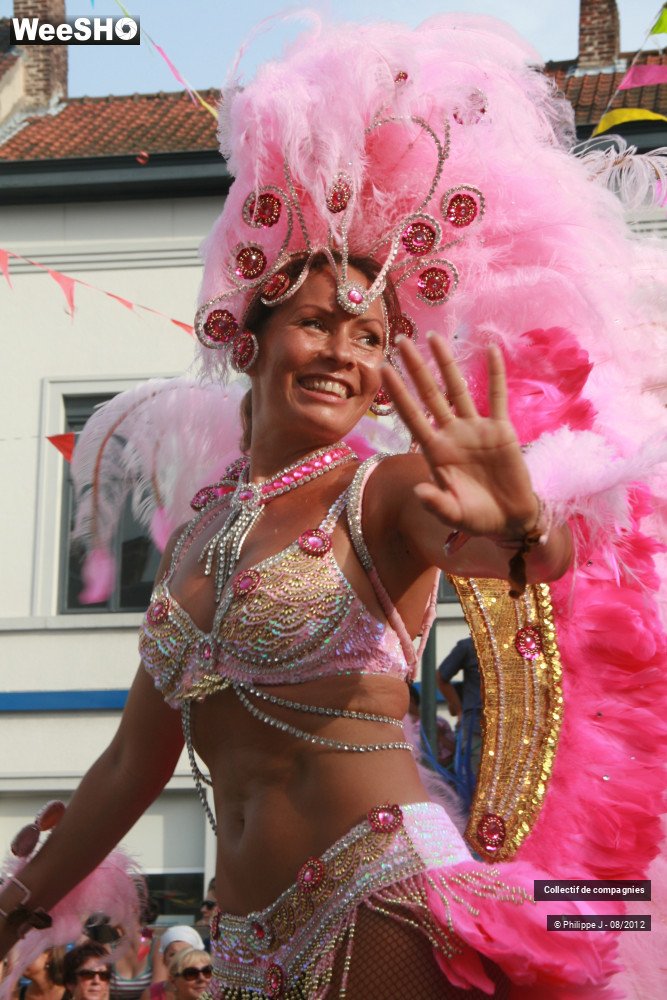 38/44 photos du spectacle Zomer Carnaval 2012 #1