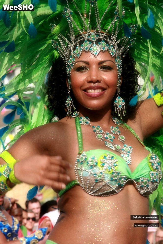42/44 photos du spectacle Zomer Carnaval 2012 #1
