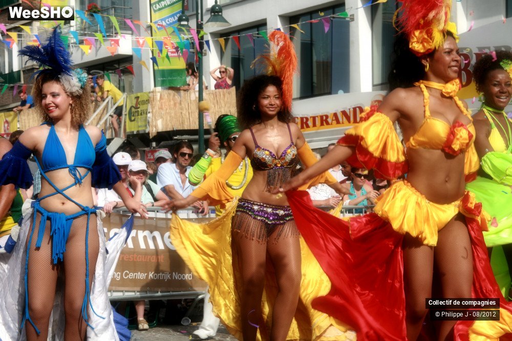 6/40 photos du spectacle Zomer Carnaval 2012 #2