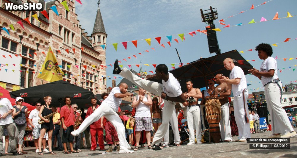 18/40 photos du spectacle Zomer Carnaval 2012 #2