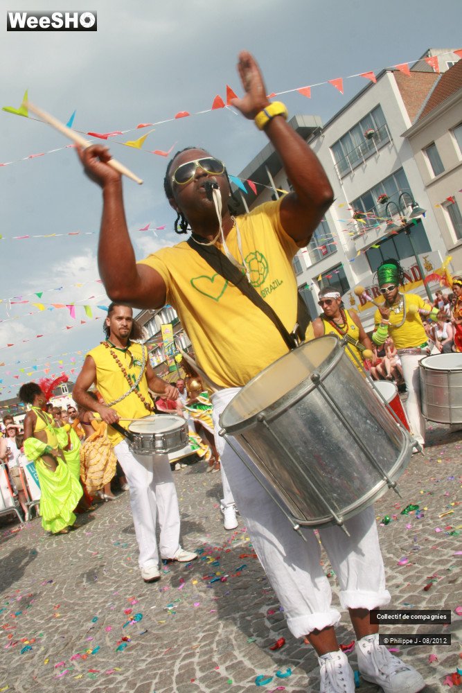 27/40 photos du spectacle Zomer Carnaval 2012 #2