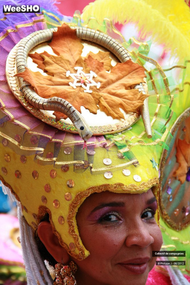 32/40 photos du spectacle Zomer Carnaval 2012 #2