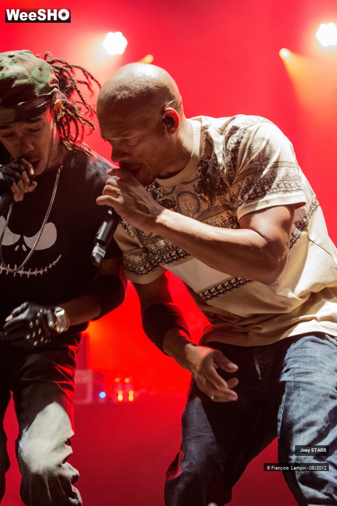 5/25 photos du spectacle Joey Starr
