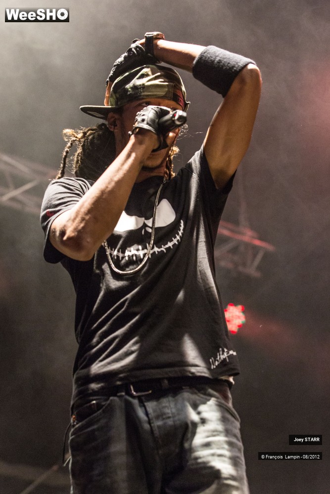 13/25 photos du spectacle Joey Starr