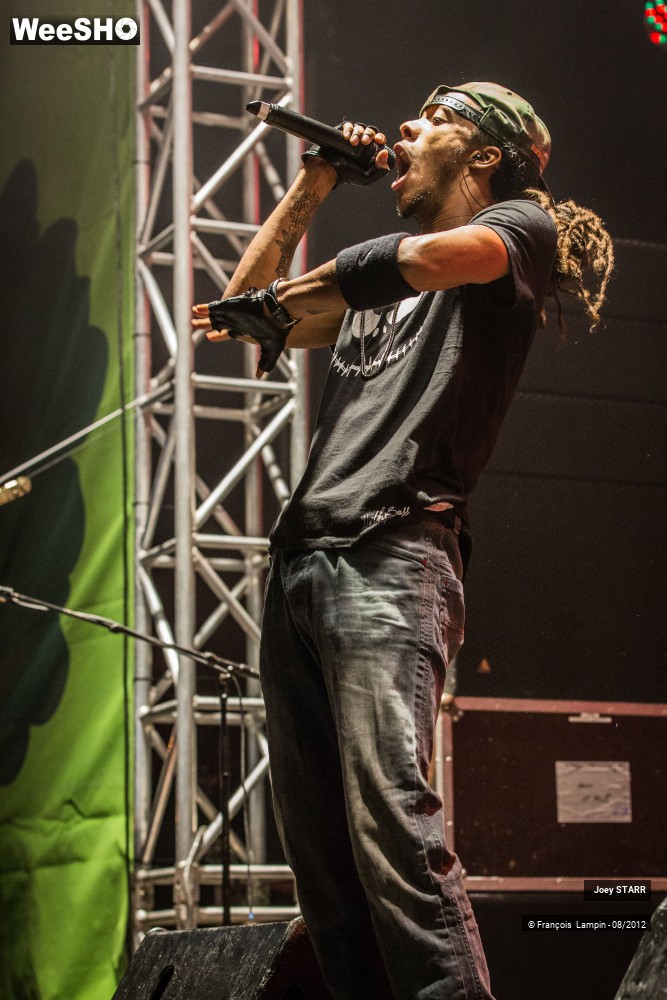 15/25 photos du spectacle Joey Starr