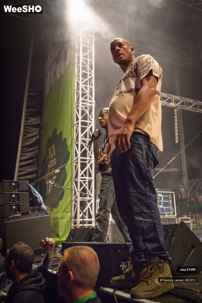 19/25 photos du spectacle Joey Starr