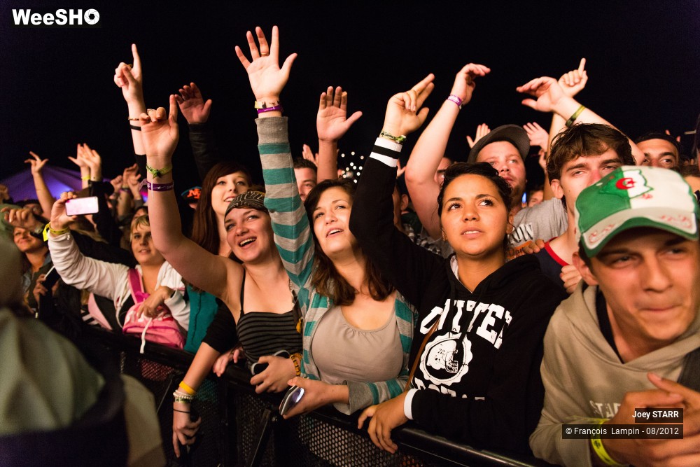 20/25 photos du spectacle Joey Starr