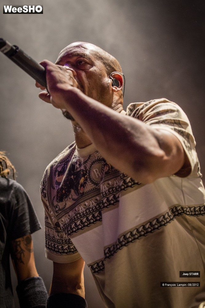 23/25 photos du spectacle Joey Starr