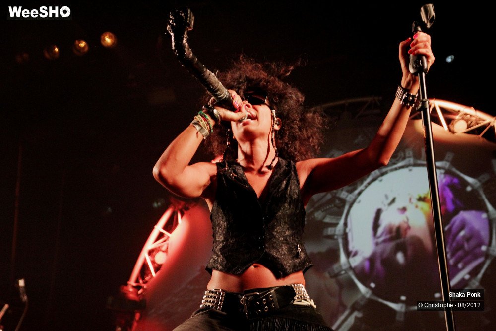 13/50 photos du spectacle Shaka Ponk