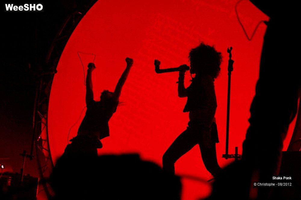 18/50 photos du spectacle Shaka Ponk