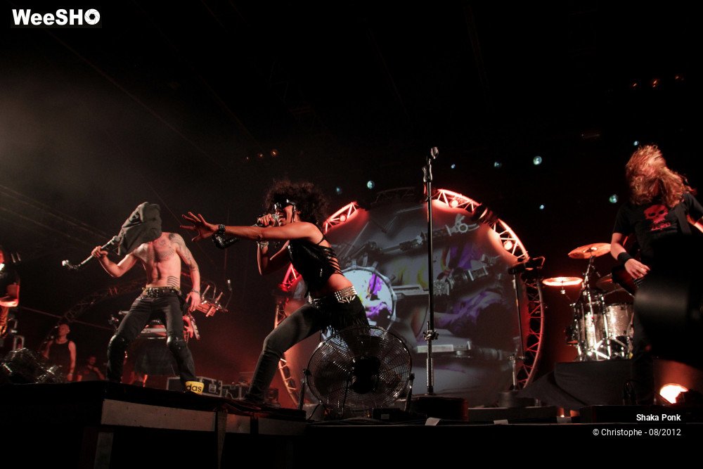 19/50 photos du spectacle Shaka Ponk