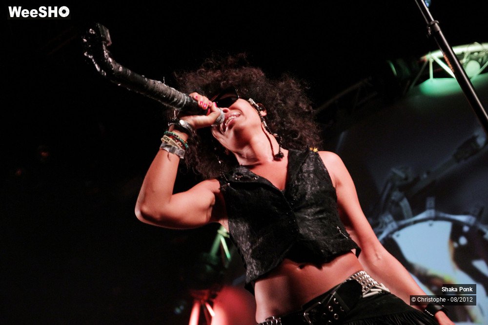 24/50 photos du spectacle Shaka Ponk