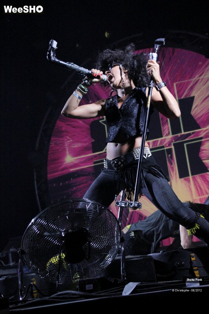 43/50 photos du spectacle Shaka Ponk