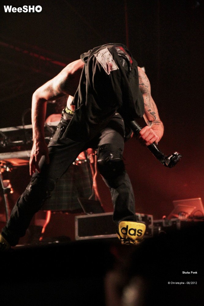 47/50 photos du spectacle Shaka Ponk