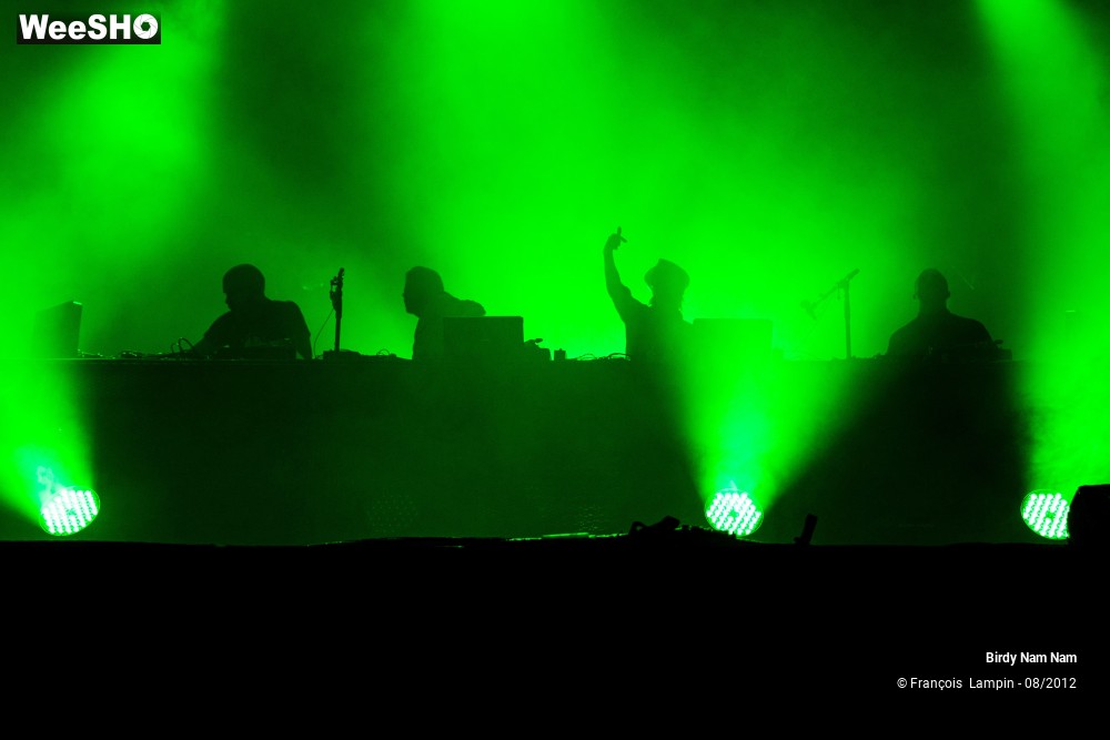 6/23 photos du spectacle Birdy Nam Nam