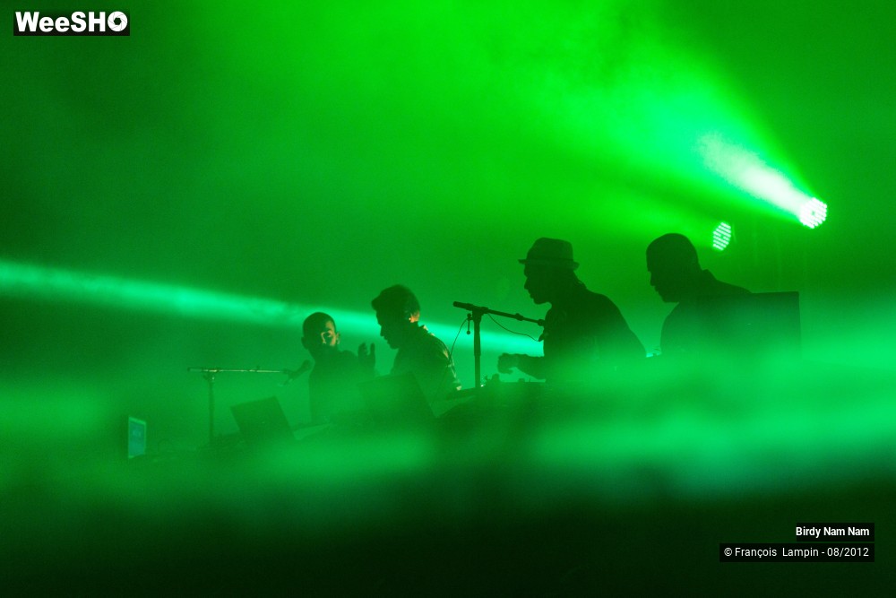 11/23 photos du spectacle Birdy Nam Nam