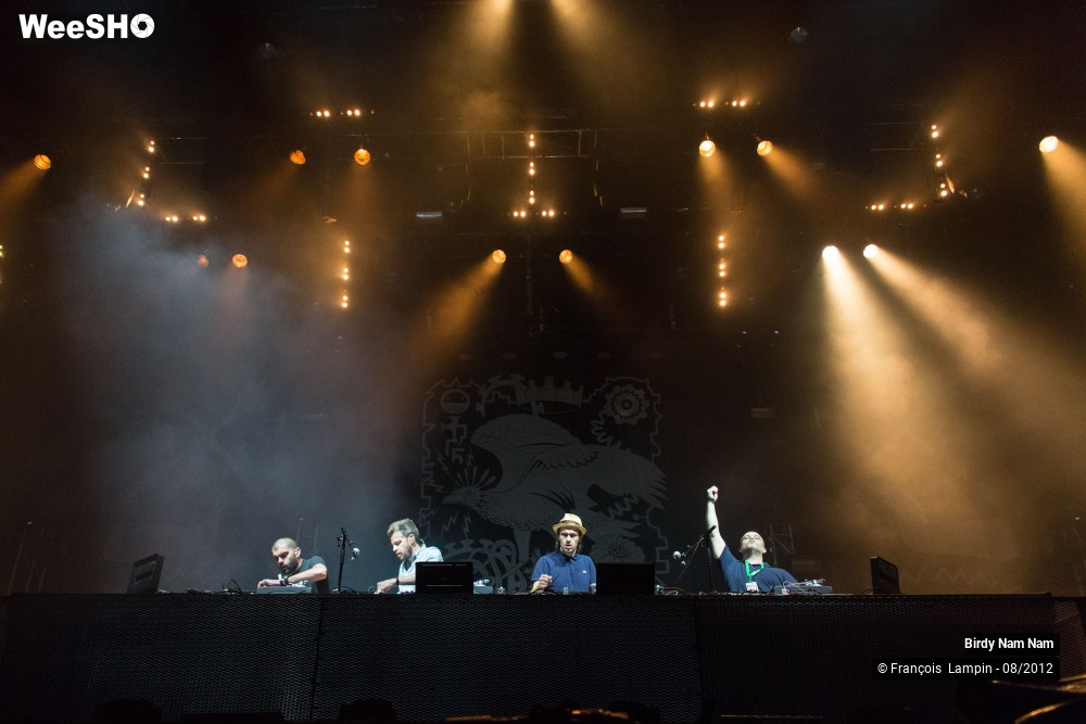 16/23 photos du spectacle Birdy Nam Nam