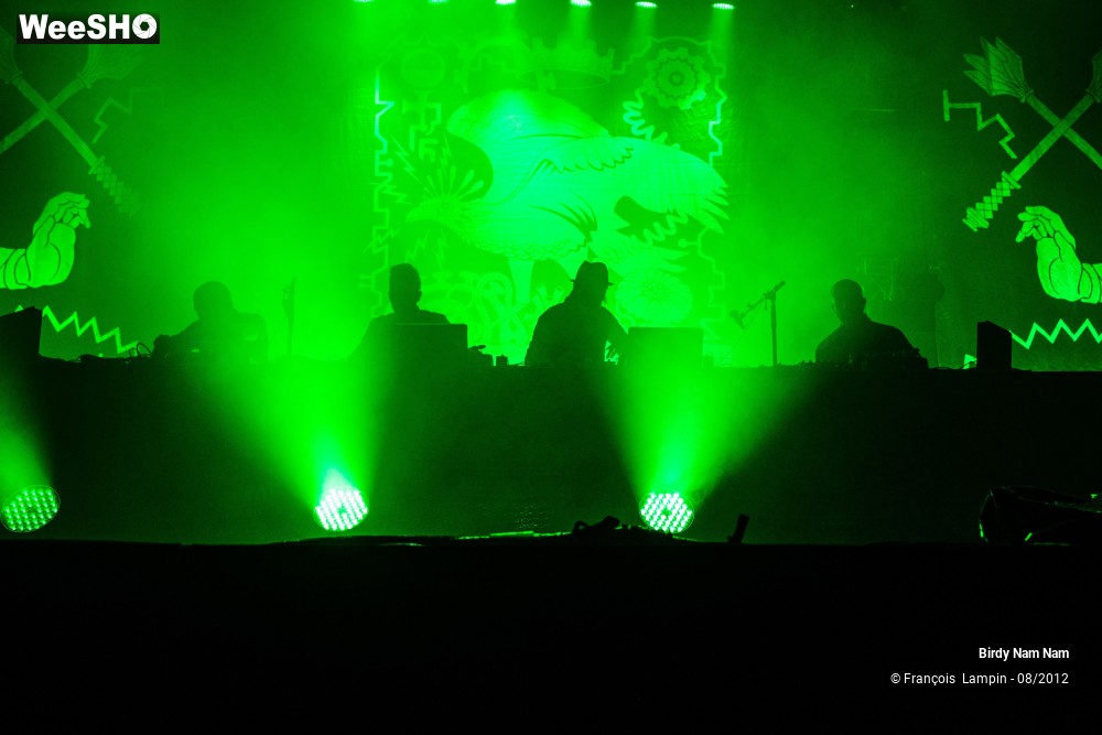 21/23 photos du spectacle Birdy Nam Nam