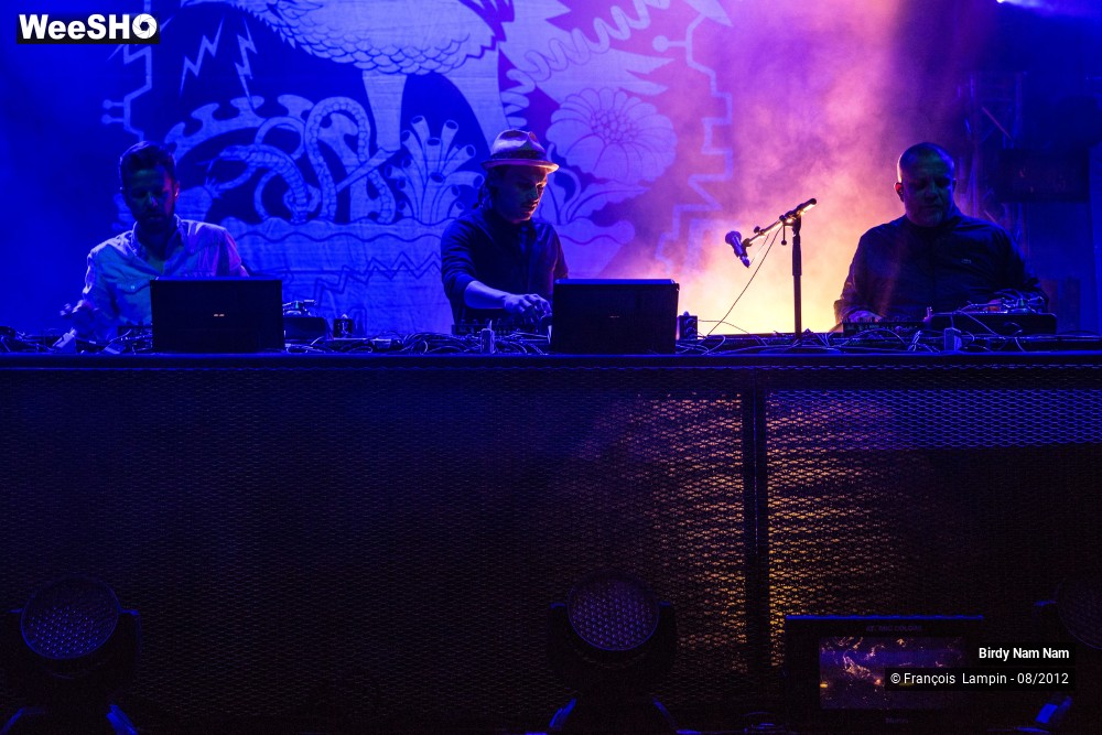 22/23 photos du spectacle Birdy Nam Nam