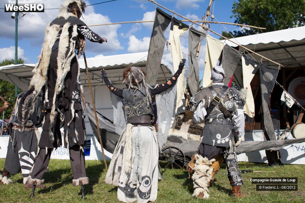 16/33 photos du spectacle La Tribu du Drakkar