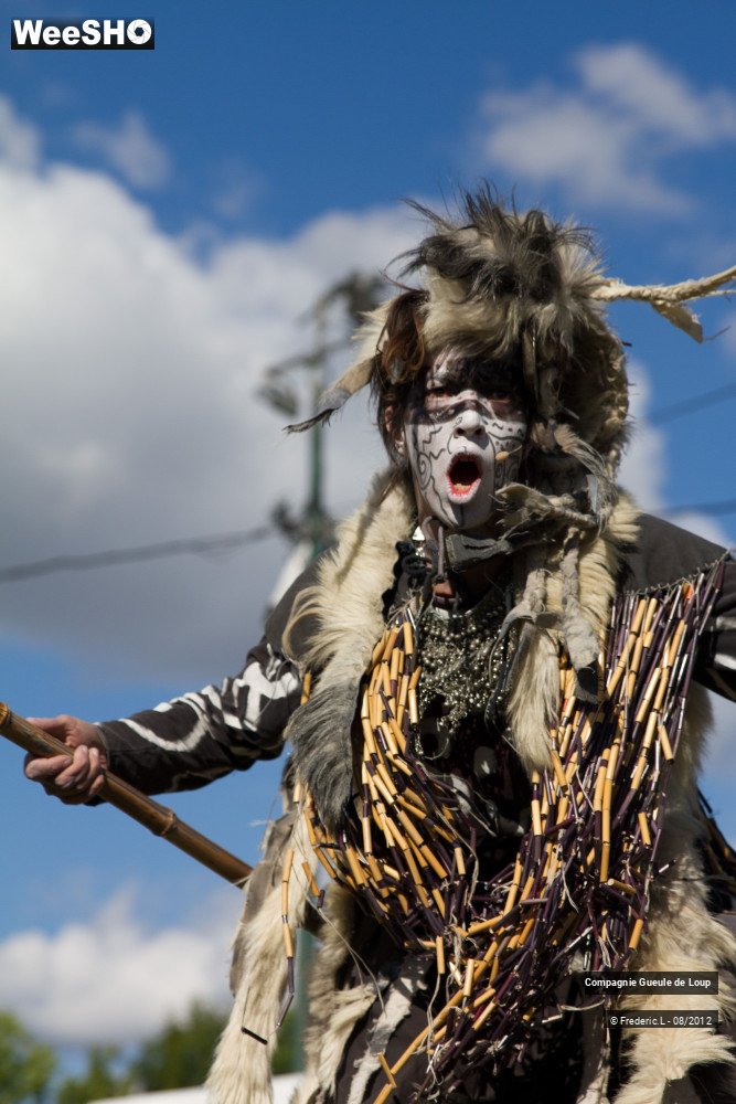 33/33 photos du spectacle La Tribu du Drakkar