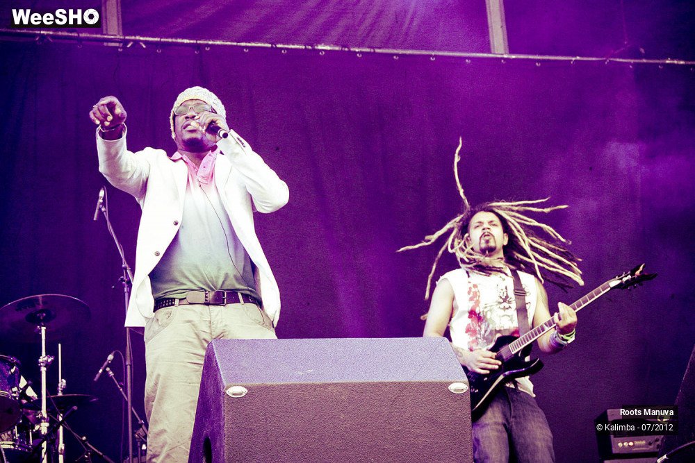 2/7 photos du spectacle Roots Manuva