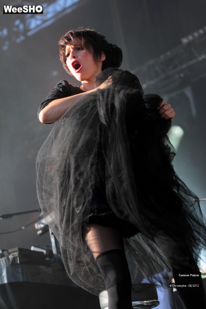 31/50 photos du spectacle Caravan Palace