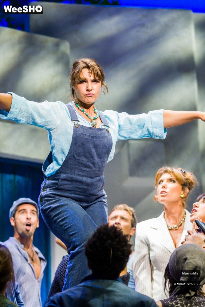 28/40 photos du spectacle Mamma Mia