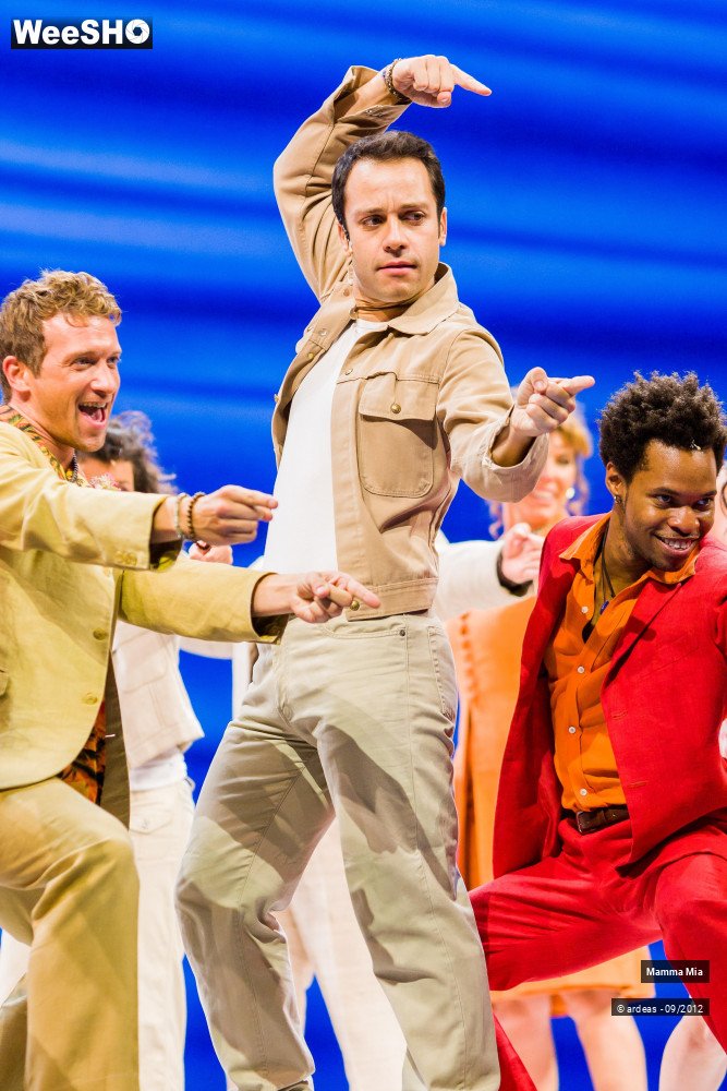 29/40 photos du spectacle Mamma Mia