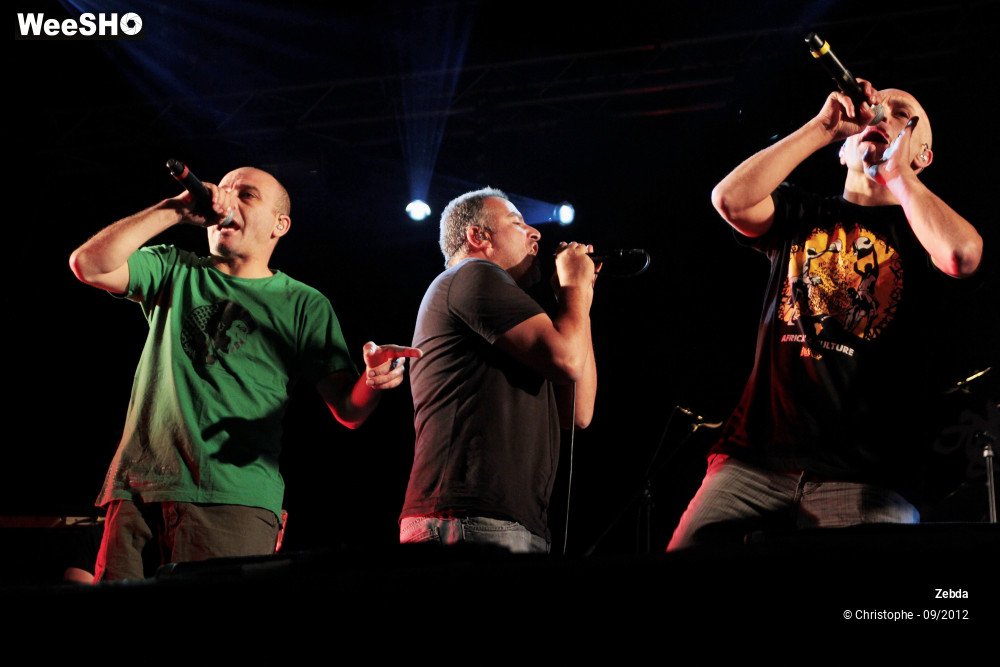 18/30 photos du spectacle Zebda