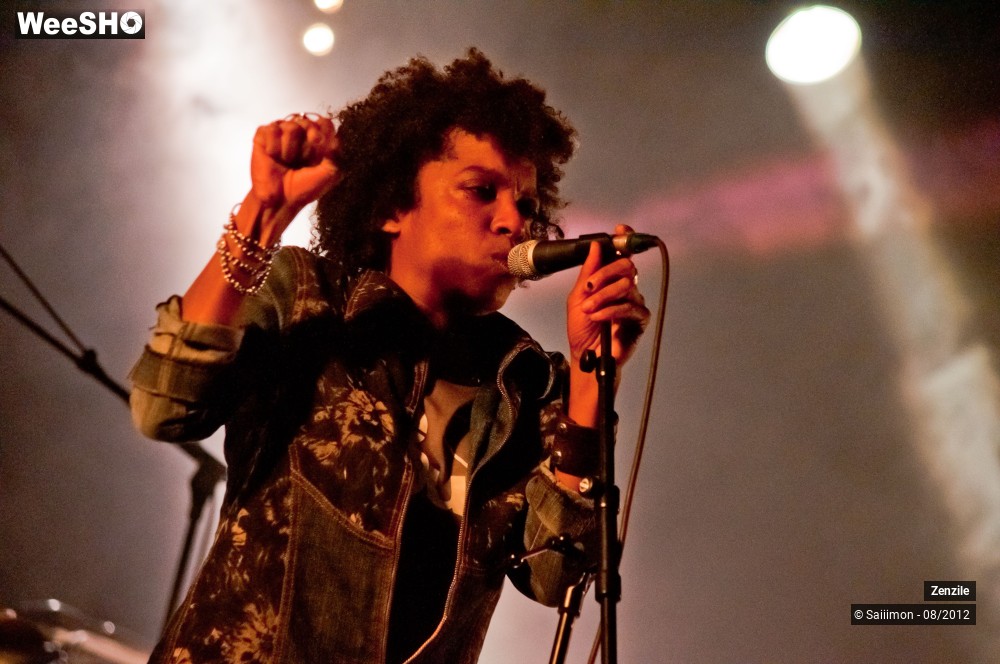 15/21 photos du spectacle Zenzile