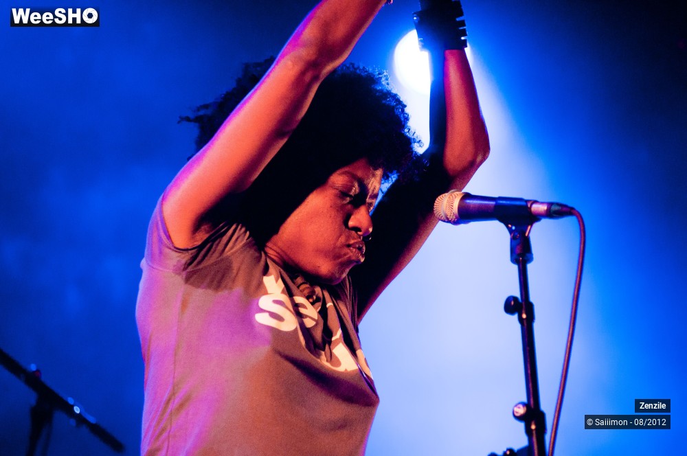 19/21 photos du spectacle Zenzile