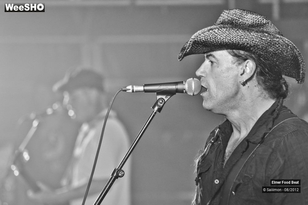 4/41 photos du spectacle Elmer Food Beat